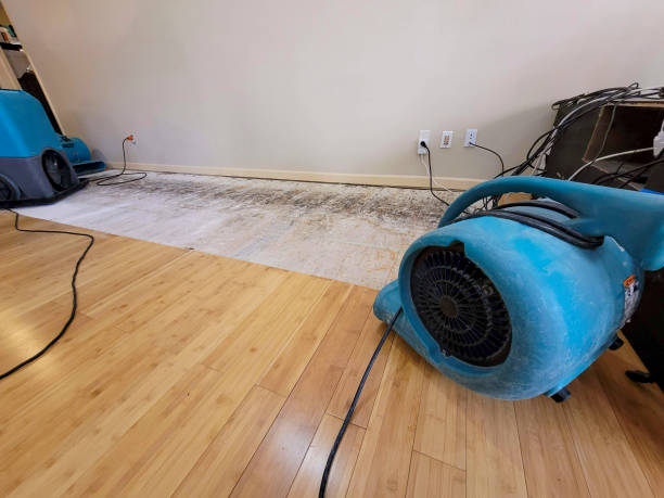 Professional Water Damage Repair technician working in Wilsonville, AL